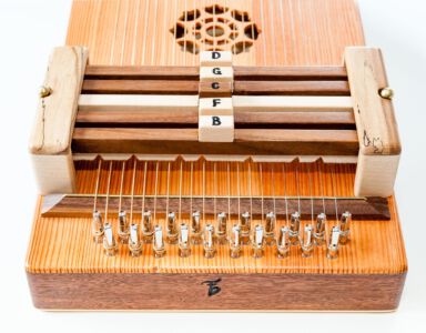Kleine Autoharp: Detailaufnahme der Akkordbalken