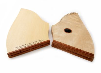 Zwei Engelharfen-Flügel: Vorder- und Rückansicht