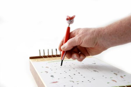 Kleine Tischharfe mit "Saitenzupfer-Fuchs" gespielt