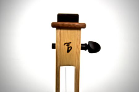 Logo und Ebenholzwirbel